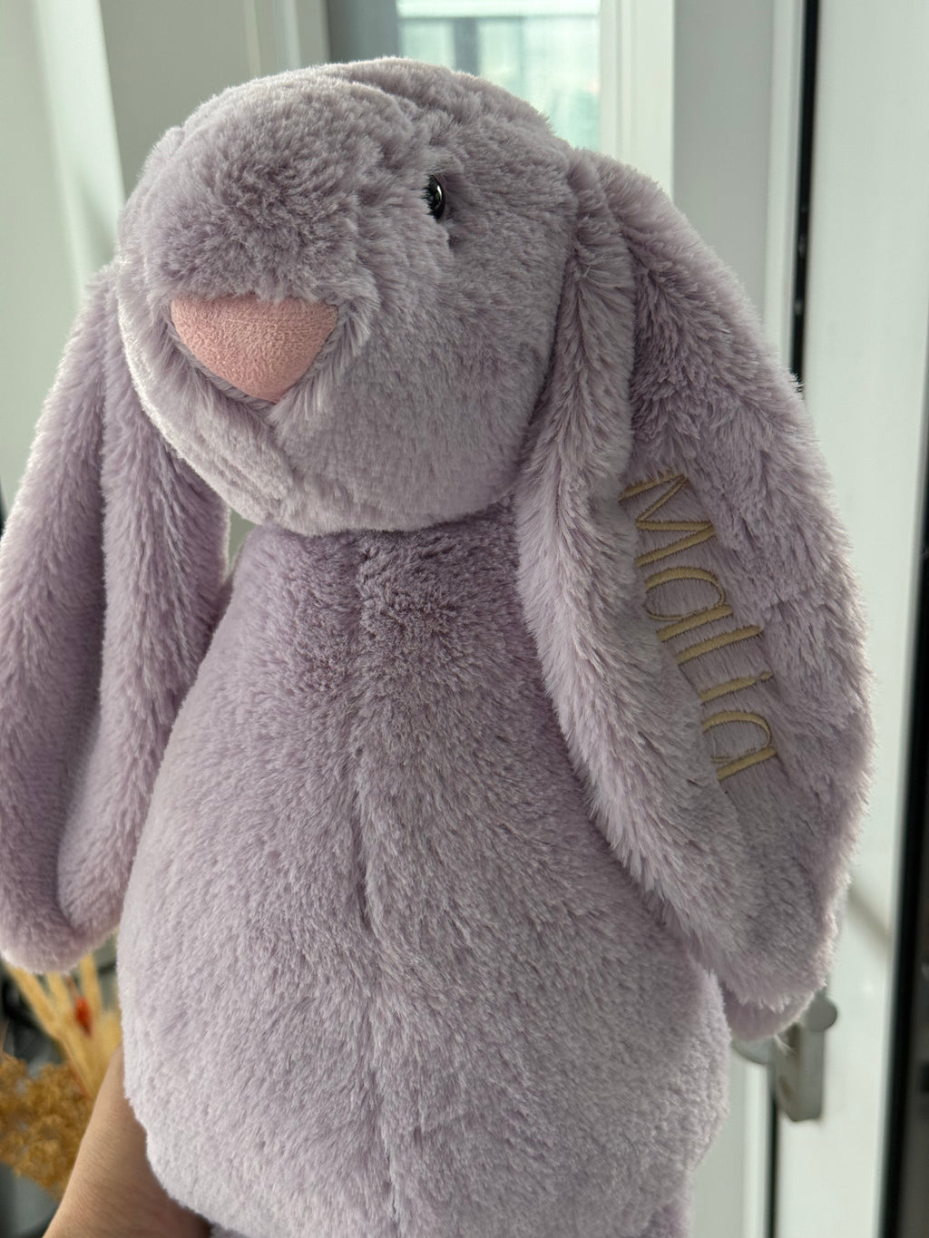Personalized Bunny